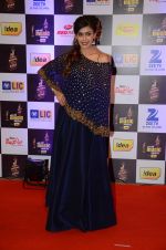 Hrishita Bhatt at radio mirchi awards red carpet in Mumbai on 29th Feb 2016